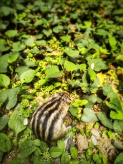 �������ݍ��